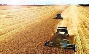 Чего и следовало ожидать…